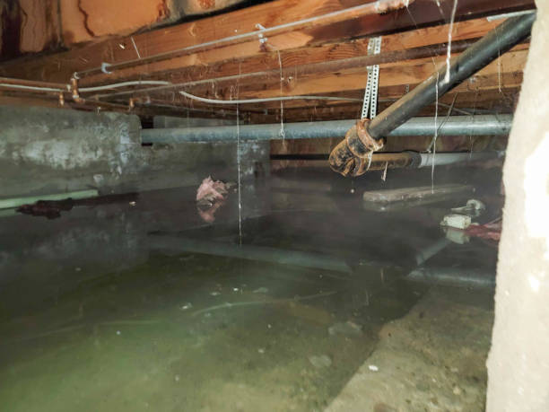 Best Sewage cleanup and water damage restoration  in Jefferson Valley Yorktown, NY
