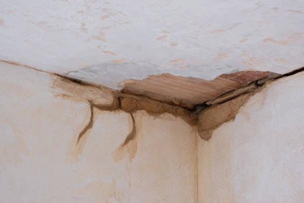 Best Ceiling water damage repair  in Jefferson Valley Yorktown, NY
