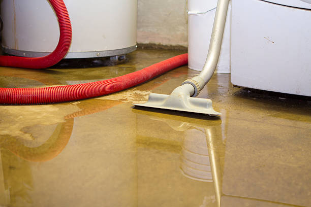 Best Water damage restoration near me  in Jefferson Valley Yorktown, NY