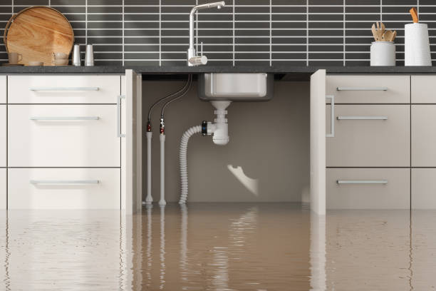 Best Water damage mitigation services  in Jefferson Valley Yorktown, NY