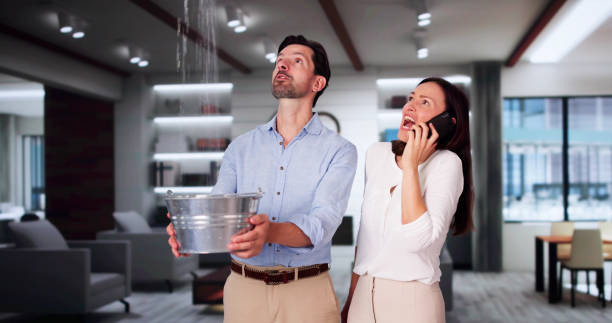 Best Water damage restoration services  in Jefferson Valley Yorktown, NY