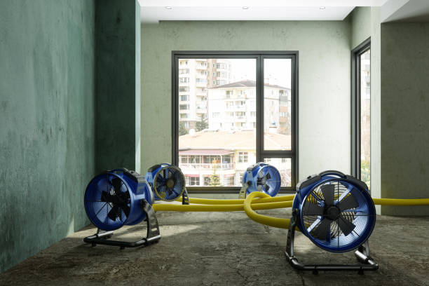 Best Water damage contractors near me  in Jefferson Valley Yorktown, NY